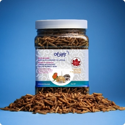 Obie's Bites product image