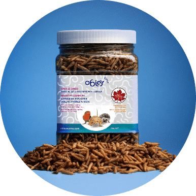 Obie's product image